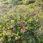 Wanderwoche Zillertal 2023 Tag 2